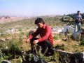 Aladin_004